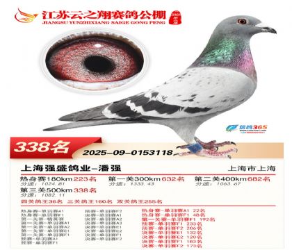 ������֮�����338��