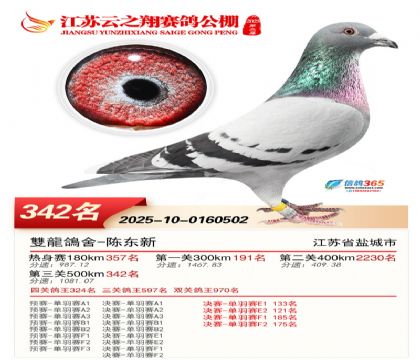 ������֮�����342��