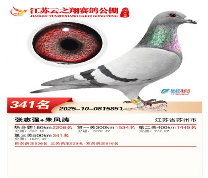 ������֮�����341��