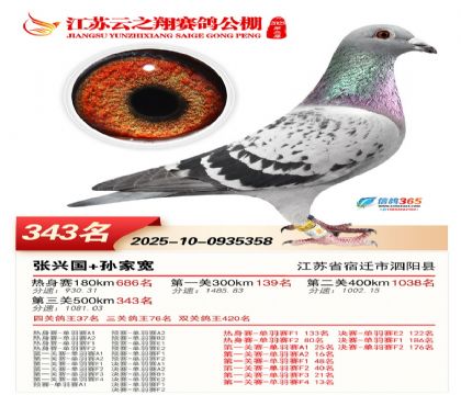 ������֮�����343��