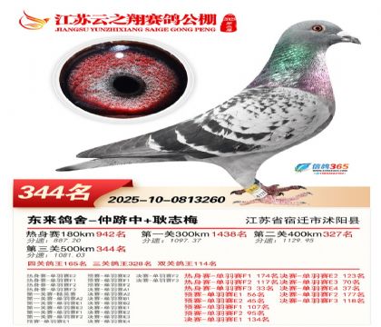 ������֮�����344��