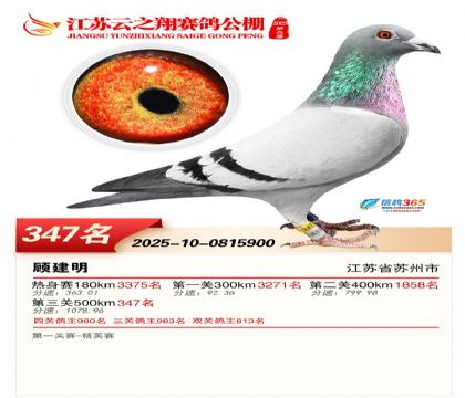 ������֮�����347��