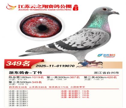 ������֮�����349��