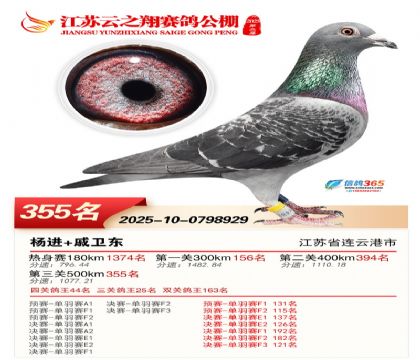 ������֮�����355��