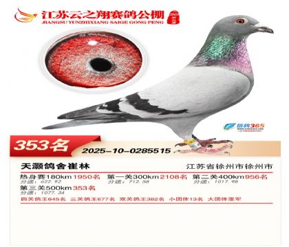 ������֮�����353��