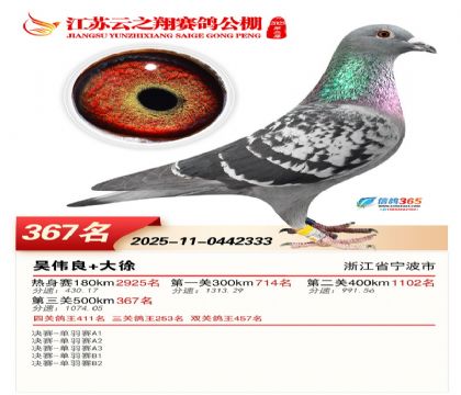 ������֮�����367��