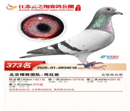 ������֮�����373��