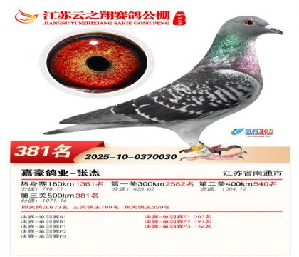 ������֮�����381��