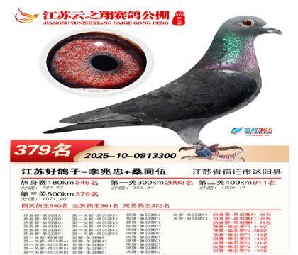 ������֮�����379��