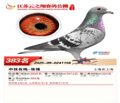 ������֮�����383��