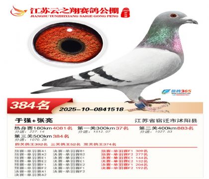 ������֮�����384��