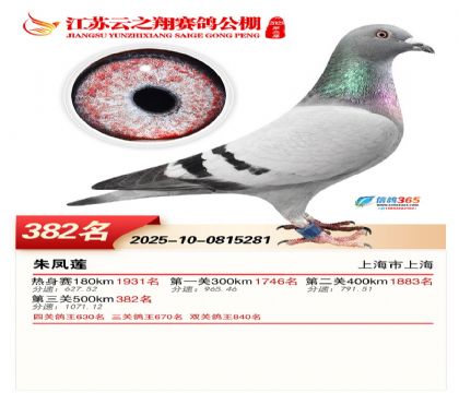 ������֮�����382��