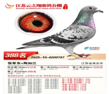 ������֮�����388��