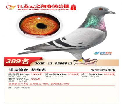 ������֮�����389��