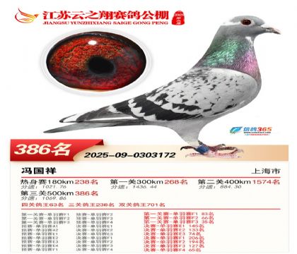 ������֮�����386��