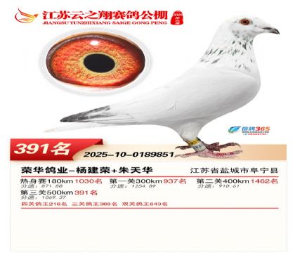 ������֮�����391��