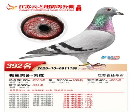 ������֮�����392��