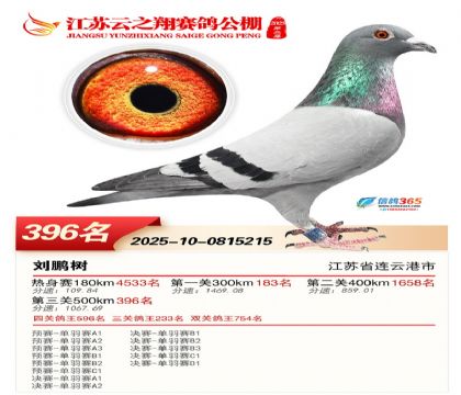 ������֮�����396��