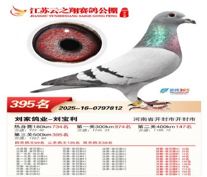 ������֮�����395��