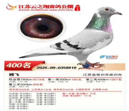 ������֮�����400��