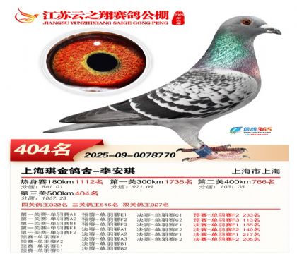 ������֮�����404��