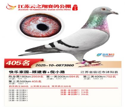 ������֮�����405��