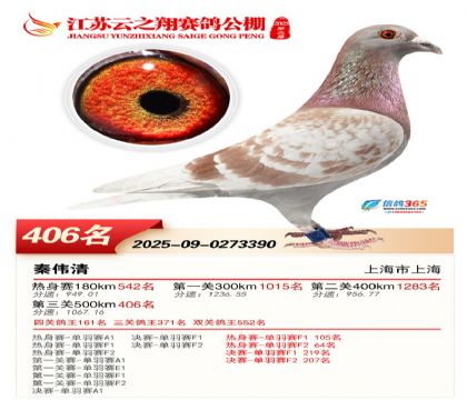 ������֮�����406��