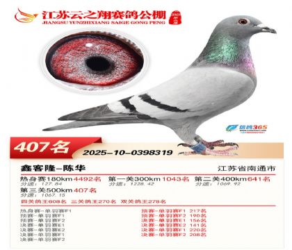 ������֮�����407��