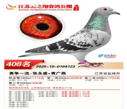 ������֮�����408��