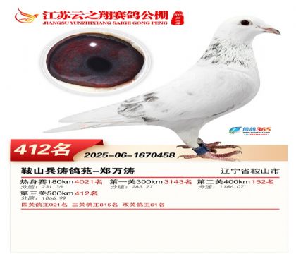 ������֮�����412��