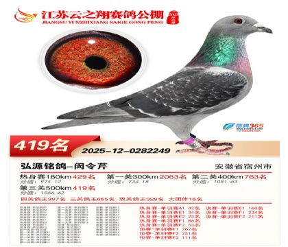 ������֮�����419��