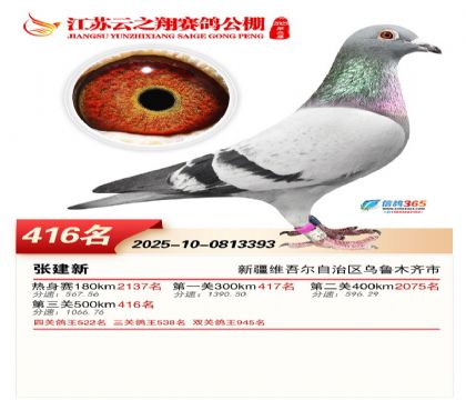 ������֮�����416��