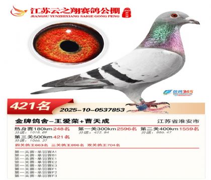 ������֮�����421��