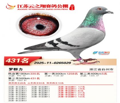 ������֮�����431��