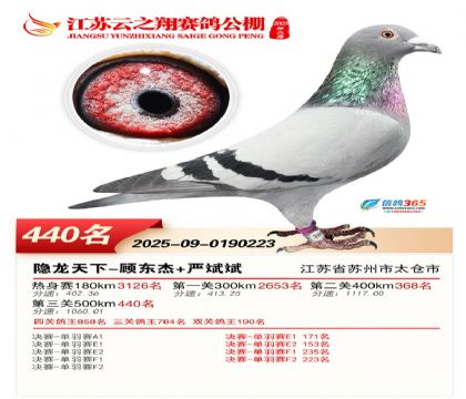 ������֮�����440��