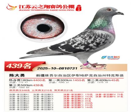 ������֮�����439��