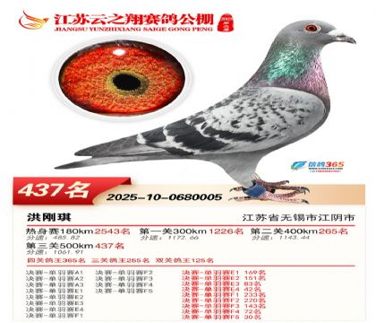 ������֮�����437��