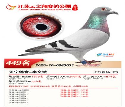 ������֮�����449��