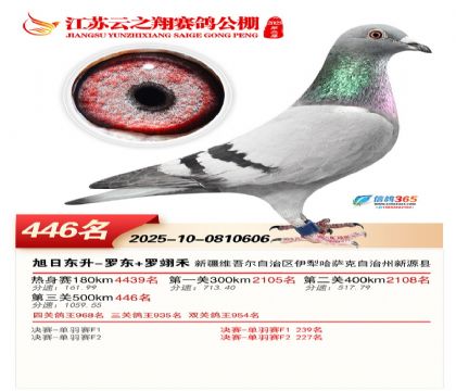 ������֮�����446��