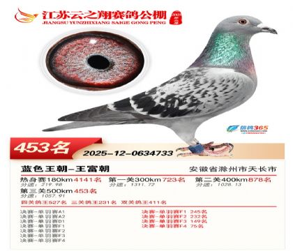 ������֮�����453��