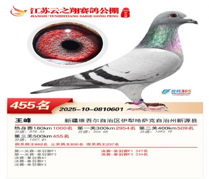 ������֮�����455��