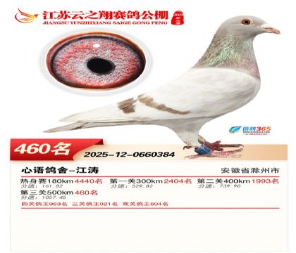 ������֮�����460��