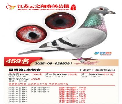 ������֮�����459��