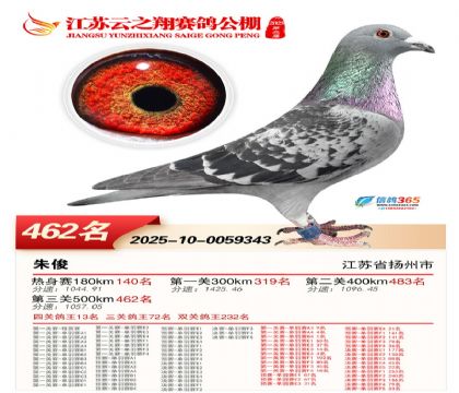 ������֮�����462��