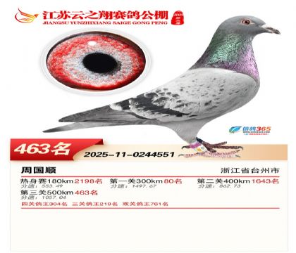 ������֮�����463��