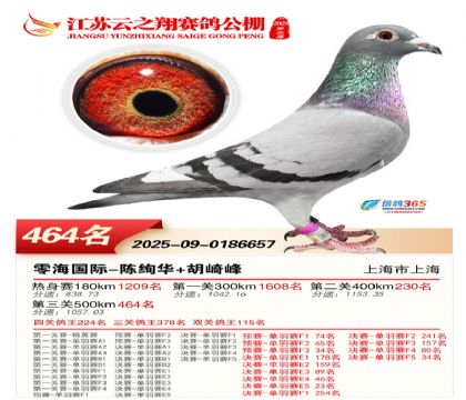 ������֮�����464��