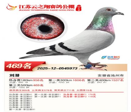 ������֮�����469��