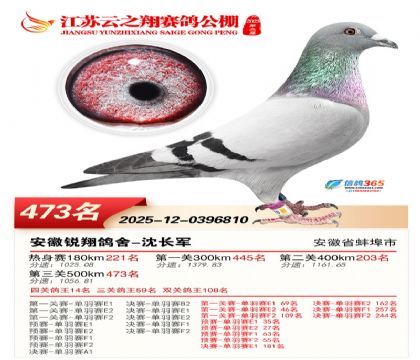 ������֮�����473��