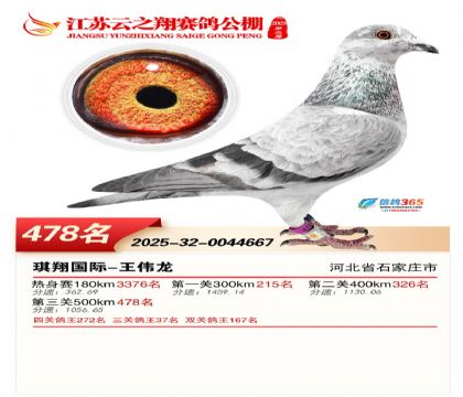 ������֮�����478��