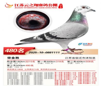 ������֮�����480��